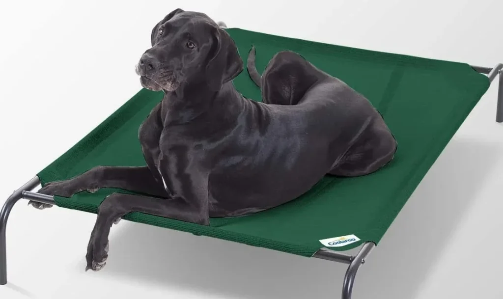 Coolaroo elevated pet bed sizes and Assembly