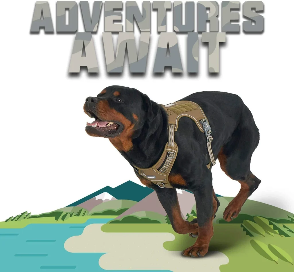 How does auroth harness compare to other tactical dog harnesses in terms of features, quality