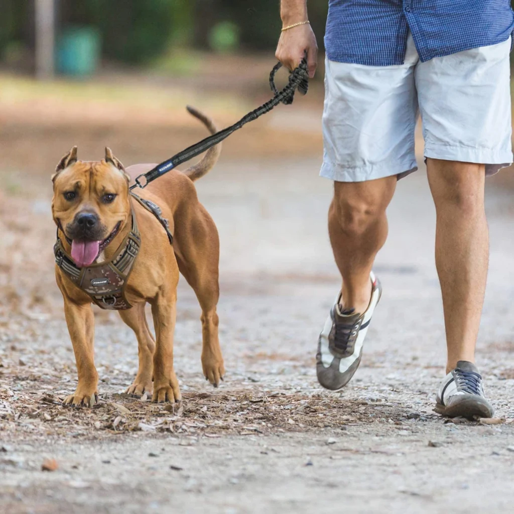 How does auroth harness compare to other tactical dog harnesses in terms of features, quality