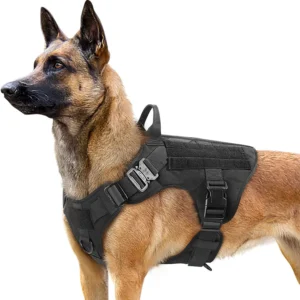 Auroth's Tactical Dog Carrier