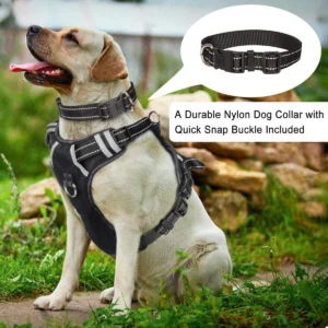Auroth's Tactical Dog Carrier
