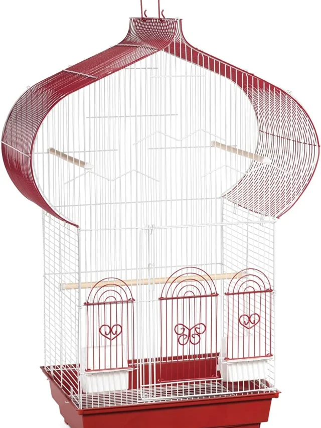 Prevue Hendryx Bird Cages, Bird’s-Eye View