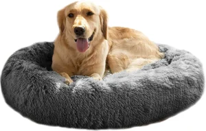 Best Friends Doughnut Dog Bed