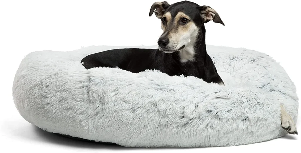 Best Friends Doughnut Dog Bed