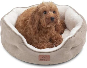 Best Friends Doughnut Dog Bed