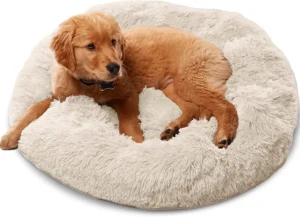 Best Friends Doughnut Dog Bed