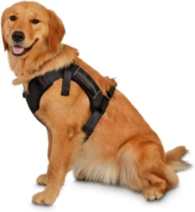 Reddy Dog Harness