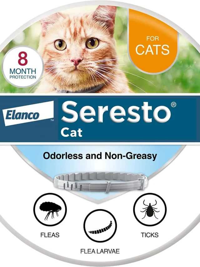 “Protect Your Feline Family: Seresto Cat Collar 3-Pack for All!”