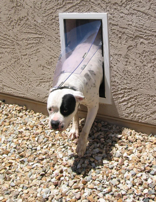 Double Flap Hale Dog Door for Walls