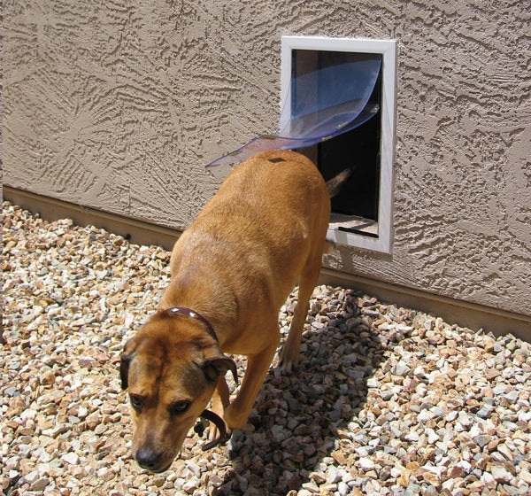 Double Flap Hale Dog Door for Walls