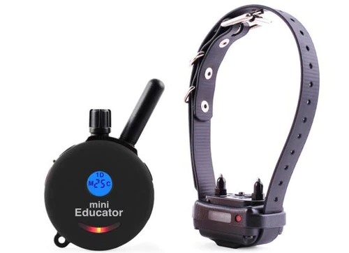 Unlock Your Dog's Potential: ET-300 Mini Educator
