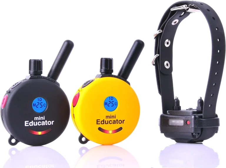 Unlock Your Dog's Potential: ET-300 Mini Educator