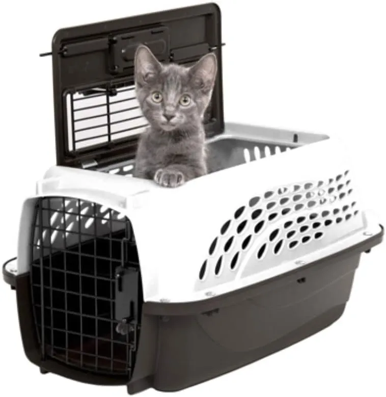 How to Take Two Cats on a Plane