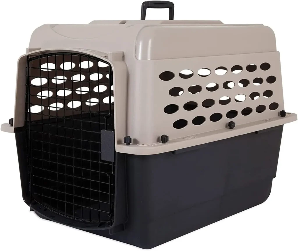 How to Take Two Cats on a Plane