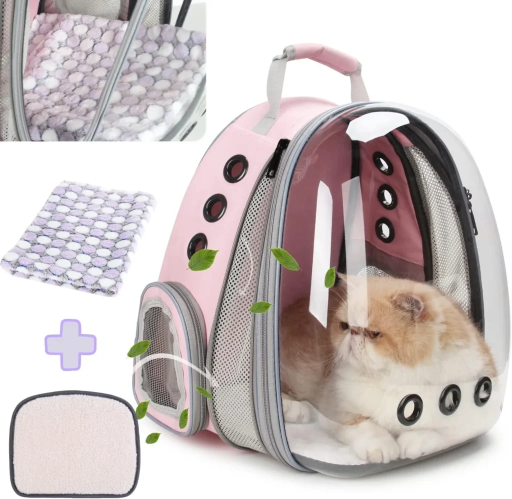 How to Take Two Cats on a Plane