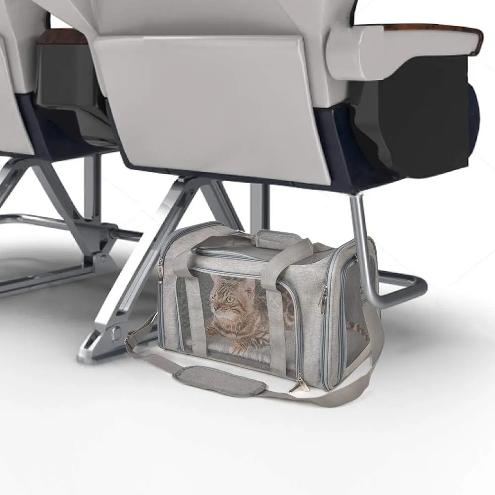 How to Take Two Cats on a Plane