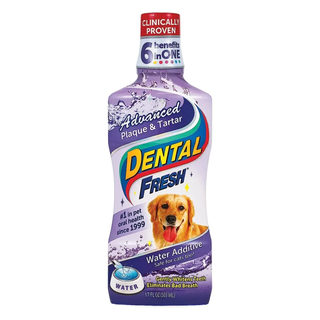 Is a Dog's Mouth Really Cleaner Than a Human's?