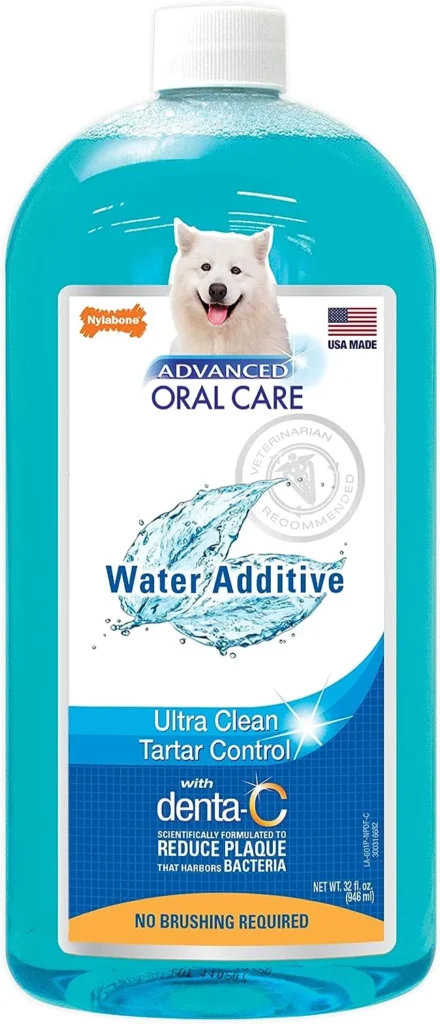 Is a Dog's Mouth Really Cleaner Than a Human's?