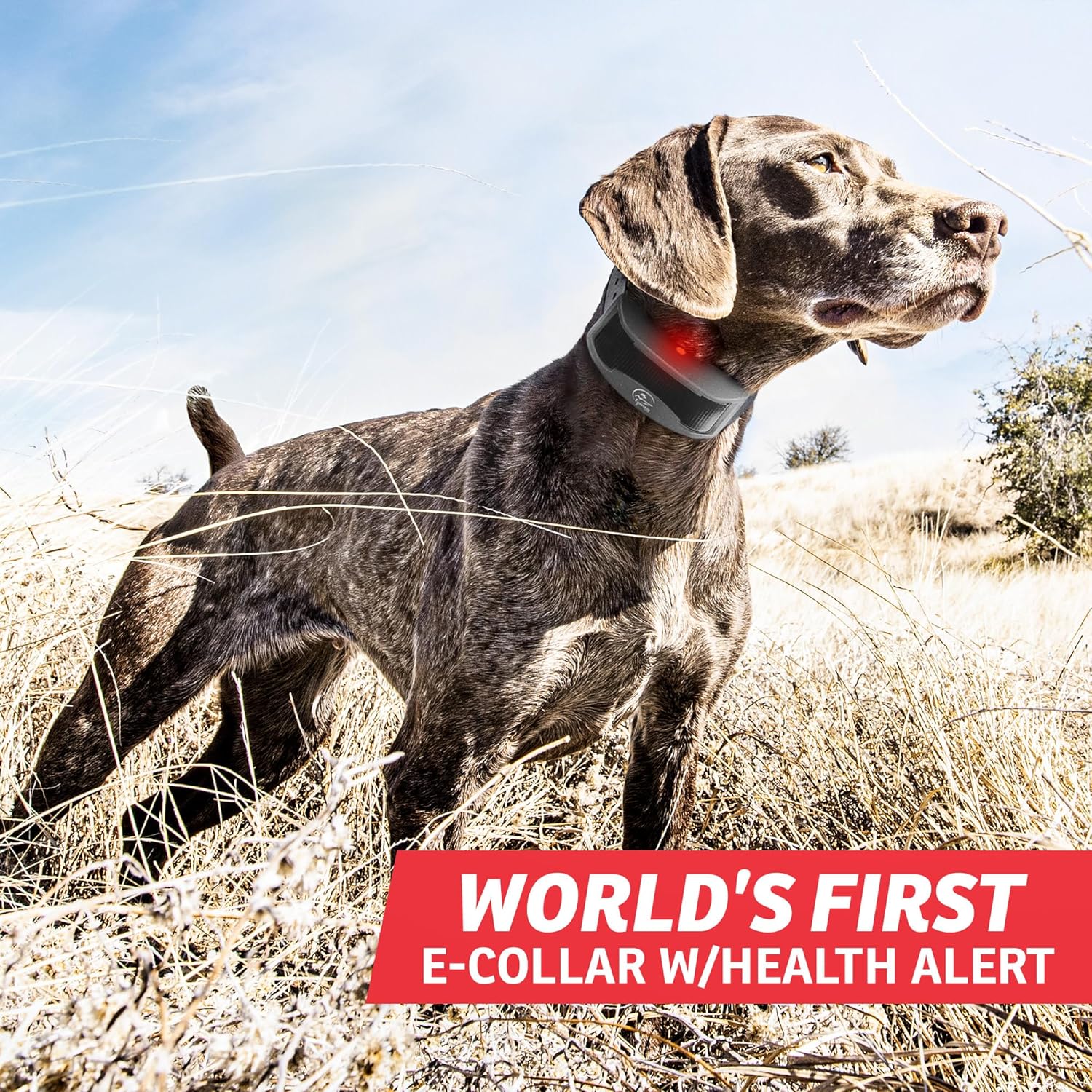 How does the health monitoring feature work on the FieldSentinel 825?