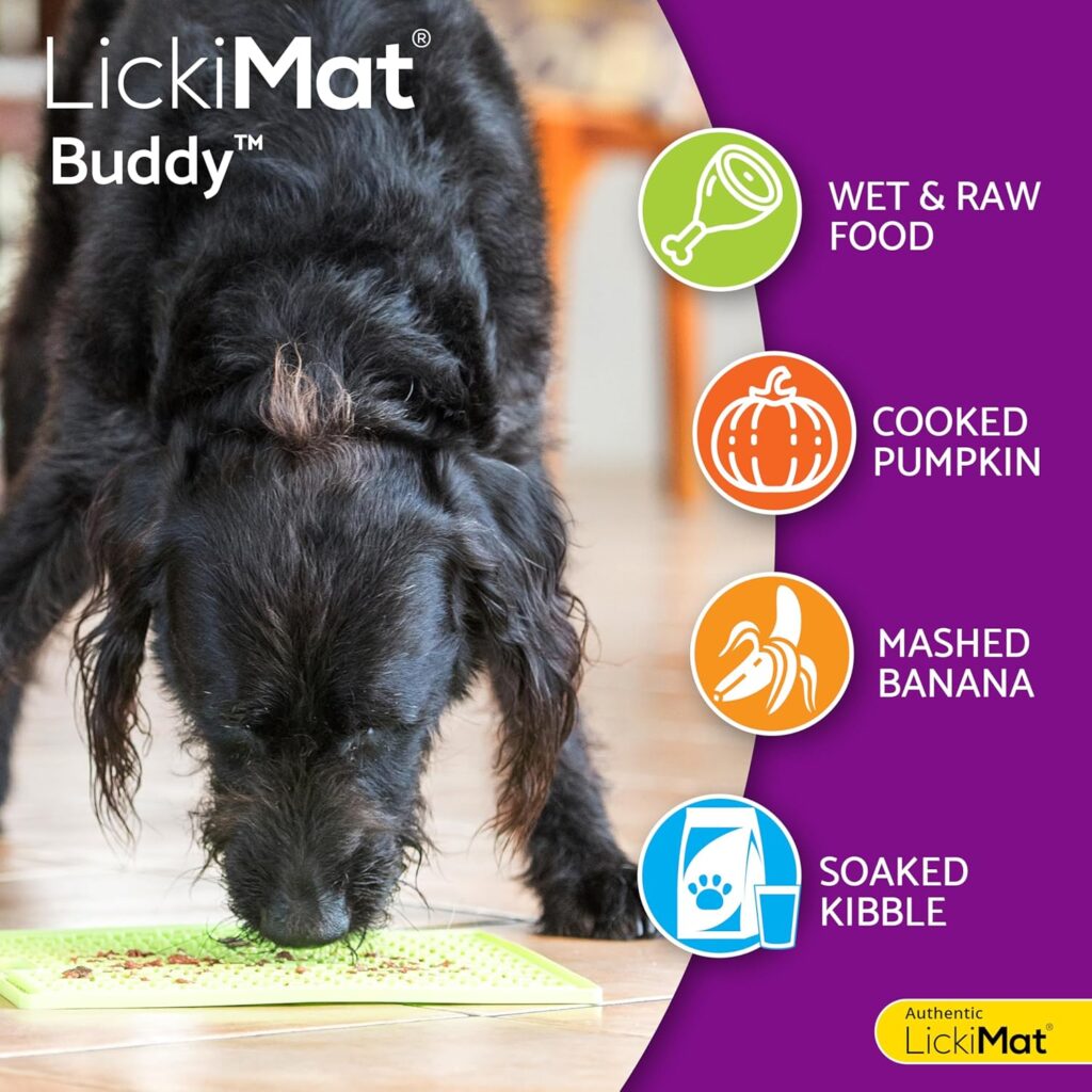 Which Dog Toys Are Best for Mental Stimulation