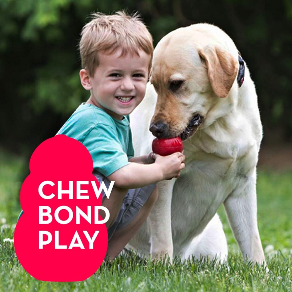 Which Dog Toys Are Best for Mental Stimulation