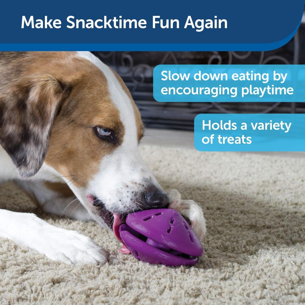 Which Dog Toys Are Best for Mental Stimulation