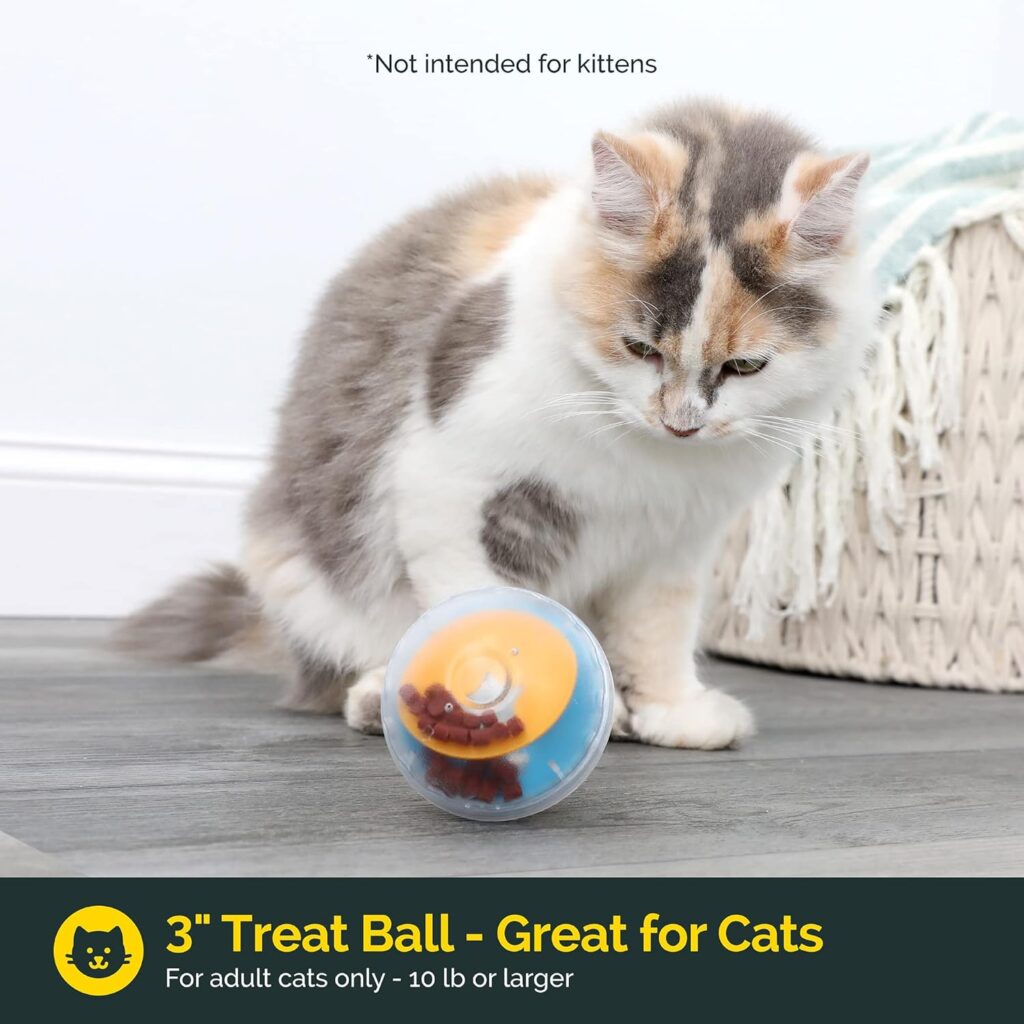 Which Dog Toys Are Best for Mental Stimulation