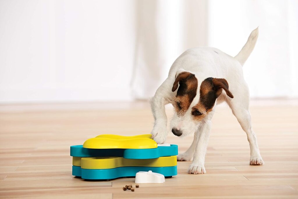 Which Dog Toys Are Best for Mental Stimulation