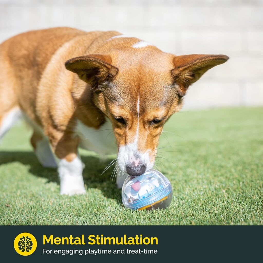 Which Dog Toys Are Best for Mental Stimulation